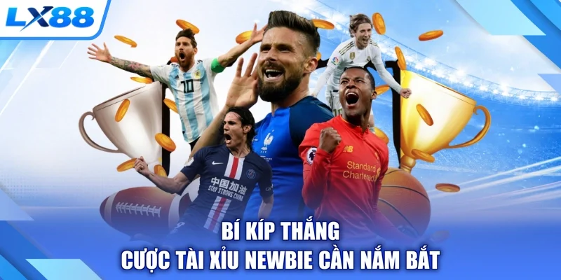 Bí kíp thắng cược tài xỉu newbie cần nắm bắt
