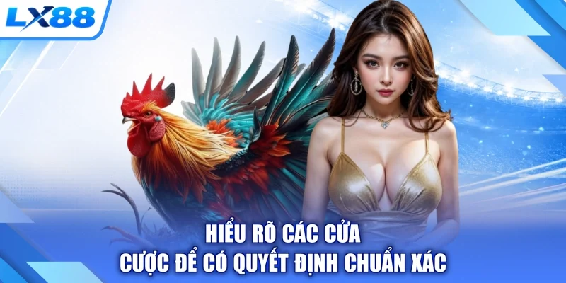 Hiểu rõ các cửa cược để có quyết định chuẩn xác