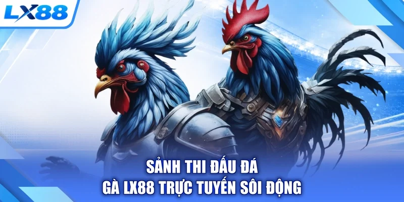 Sảnh thi đấu đá gà LX88 trực tuyến sôi động